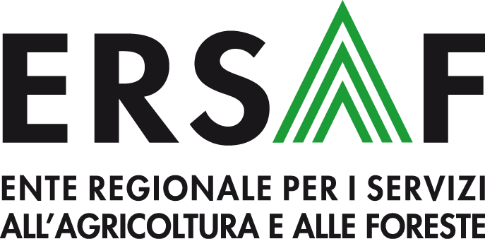 Logo Ersaf