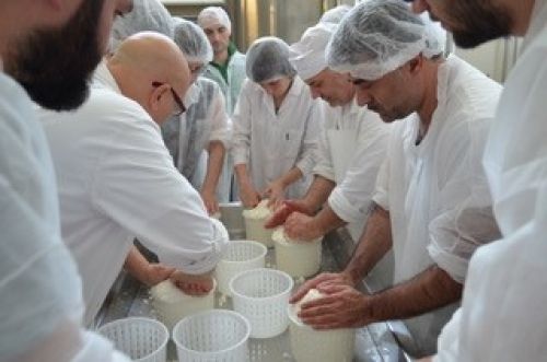 Immagine per il contenuto "Raddoppiano i corsi di perfezionamento per operatore casaro 2023"