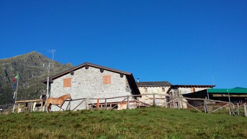 Immagine per il contenuto "Festa Alpe Legnone"