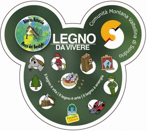 Immagine per il contenuto "LEGNO DA VIVERE 2016 - Bosco dei Bordighi (SO)"