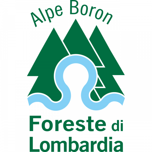 Immagine della notizia