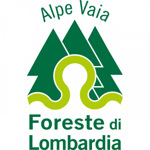 Immagine della notizia