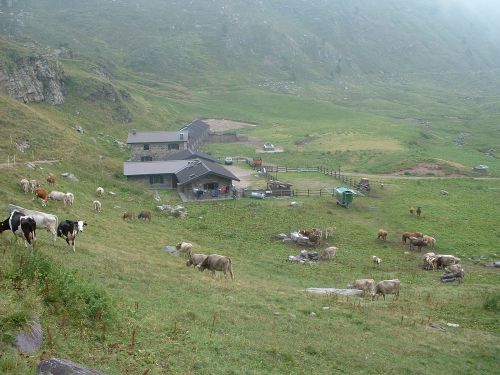 Immagine per il contenuto "Festa musicale all'Alpe Vaia"