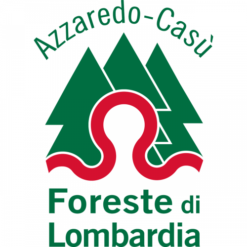 Immagine della notizia