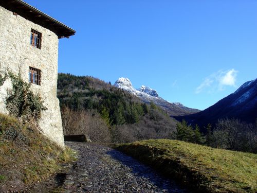 Immagine per il contenuto "La foresta al lavoro - Corni di Canzo (CO)"