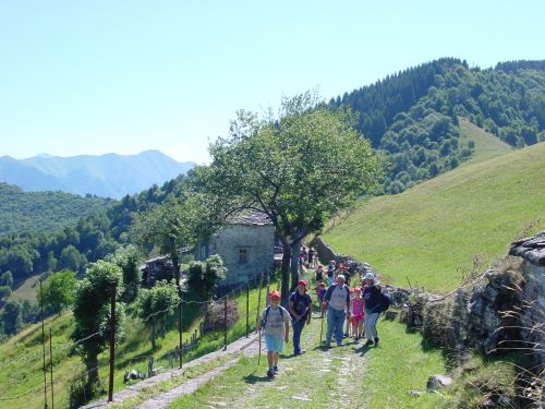 Immagine per il contenuto "PANE E S(CULTURA) - F.R. VALLE INTELVI"