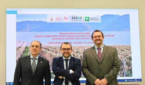 Immagine per il contenuto "Viticoltura eroica: accordo di collaborazione tra Regione Lombardia, ERSAF e CERVIM."
