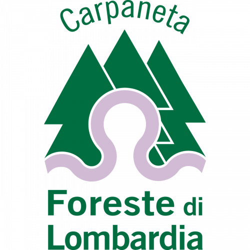 Immagine della notizia