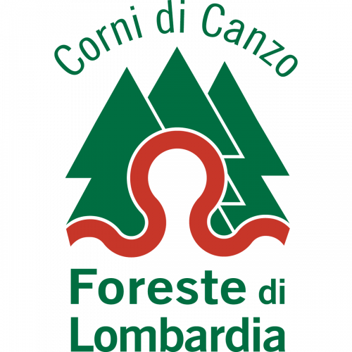 Immagine della notizia