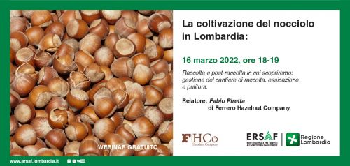 Immagine per il contenuto "Webinar: la coltivazione del nocciolo in Lombardia, 16 marzo 2022 - ore 18/19"