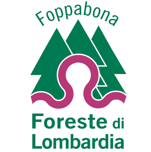 Immagine della notizia
