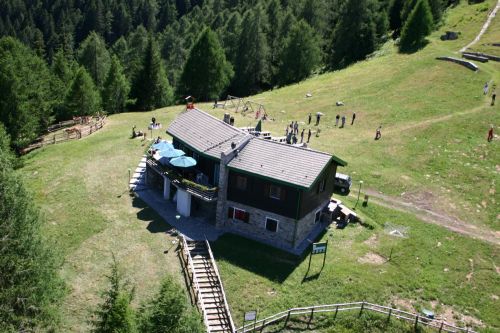 Immagine per il contenuto "Alpeggi in festa all'Alpe Culino - Foresta Val Gerola (SO)"