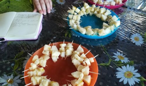 Immagine per il contenuto "Graduatoria progetti di educazione alimentare 2023"