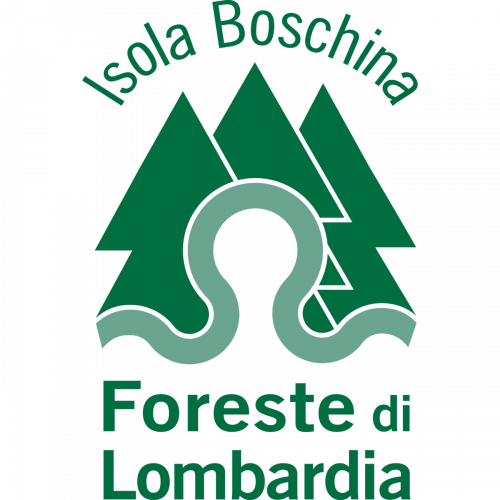 Immagine della notizia