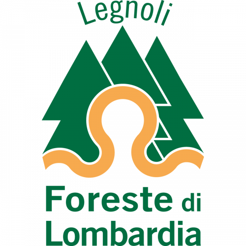Immagine della notizia