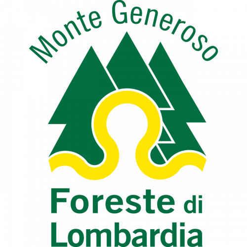 Immagine della notizia