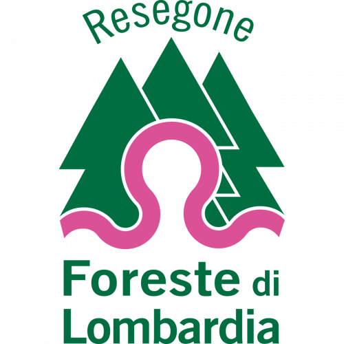 Immagine della notizia