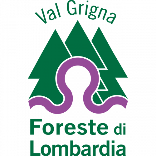 Immagine della notizia