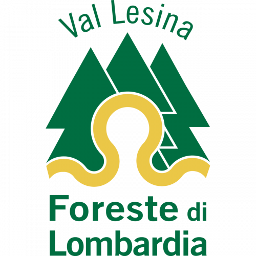 Immagine della notizia