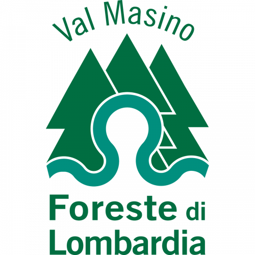 Immagine della notizia
