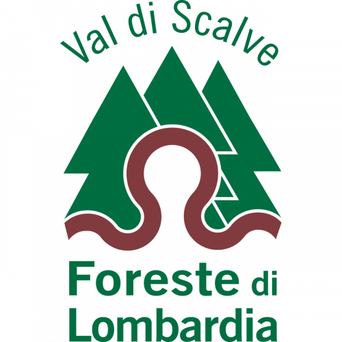 Immagine della notizia