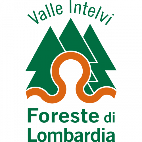 Immagine della notizia