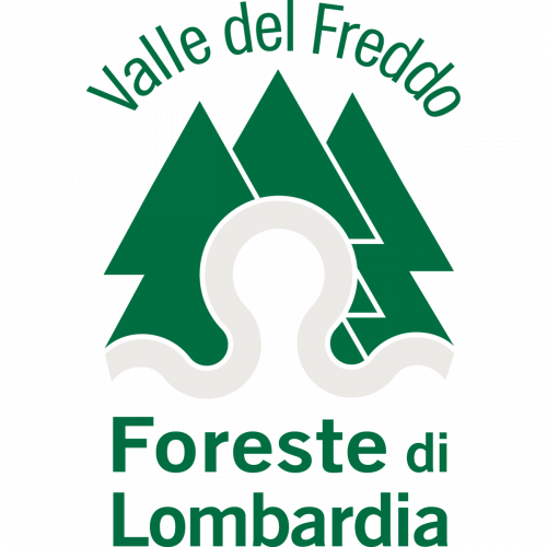 Immagine della notizia