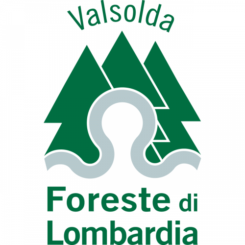 Immagine della notizia