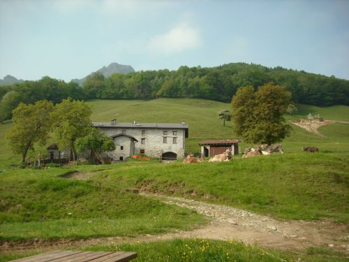 Immagine per il contenuto "Summer Camp in fattoria - Foresta Valle Intelvi (CO)"