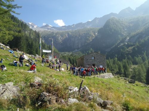 Immagine per il contenuto "Corso "Cibo selvaggio" - Foresta Val Masino (SO) "