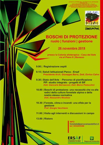 Immagine per il contenuto "Il 26 novembre Incontro tecnico sul ruolo e le funzioni svolte dai boschi di protezione"