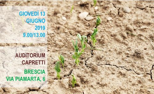 Immagine per il contenuto "Sito contaminato SIN Brescia-Caffaro: i risultati del fitocontenimento e della sperimentazione di tecnologie di bioremediaton nei terreni agricoli"