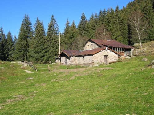 Immagine per il contenuto "Festa dell'Alpe Campolungo, Gusto e musica - Foresta Val Grigna (BS)"