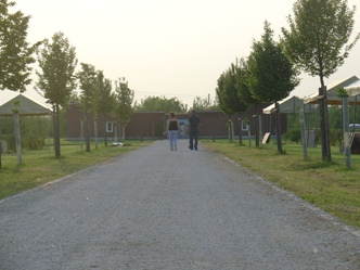 Immagine per il contenuto "Finale provinciale di Green Volley - Foresta Carpaneta"