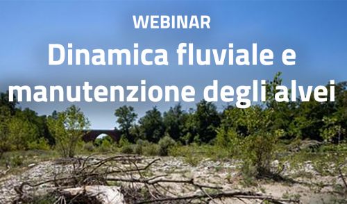 Immagine per il contenuto "Webinar "Dinamica fluviale e manutenzione degli alvei""