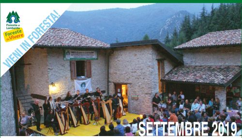 Immagine per il contenuto "Calendario eventi Foreste da Vivere settembre 2019"