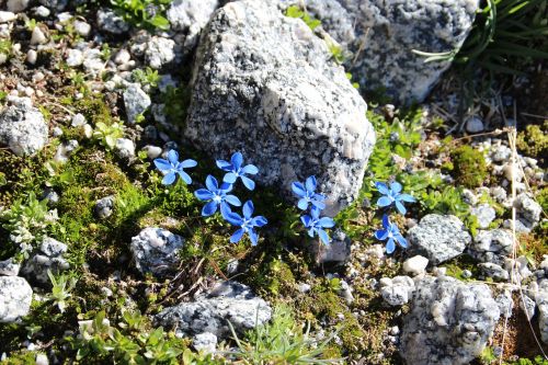 Immagine per il contenuto "Foreste da Vivere: calendario eventi di settembre"