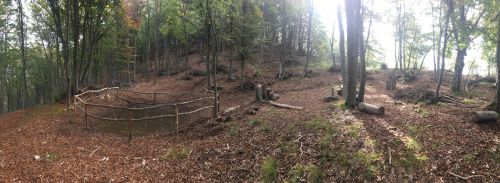 Immagine per il contenuto "Forestry Education LIFE IP Gestire 2020 Interventi forestali e idoneità faunistica "