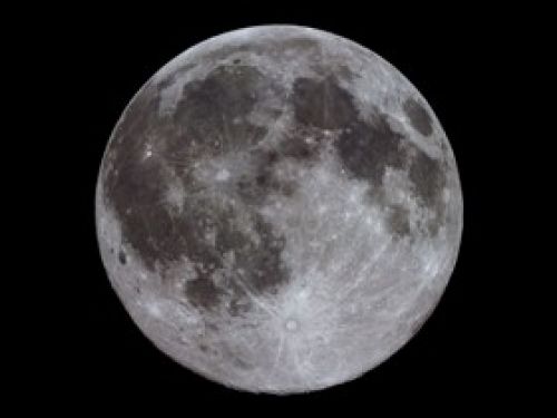 Immagine per il contenuto "Luna d'Alpeggio - Foresta Corni di Canzo (CO)"
