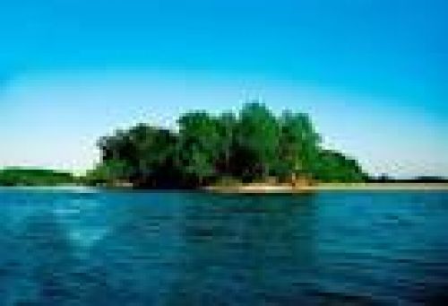 Immagine per il contenuto "Visite guidate - Riserva Isola Boschina (MN)"