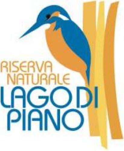 Immagine per il contenuto ""Farfallando" - Riserva Lago di Piano (CO)"