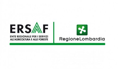 Immagine per il contenuto "Avviso di selezione per l’individuazione di n. 1 esperto giuridico e affari legali "
