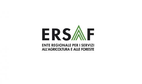 Immagine per il contenuto "Proroga Concorso pubblico, per esami, per n. 3 posti funzionario per i Servizi all'Ambiente"