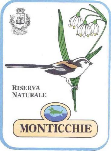 Immagine per il contenuto "Monticchie…da un altro punto di vista - RN Monticchie"