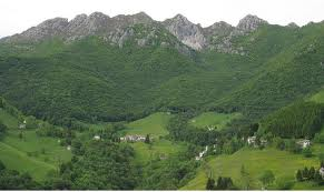 Immagine per il contenuto "Il sentiero dei Grandi Alberi e l'alpeggio didattico - Foresta Resegone (LC)"