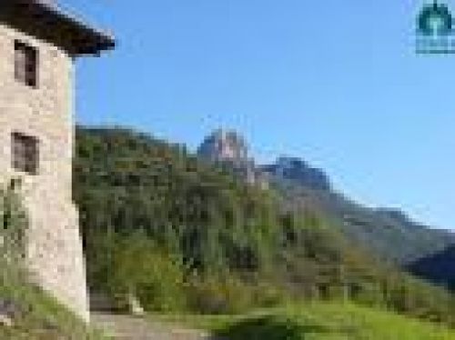 Immagine per il contenuto "In montagna con papà - Foresta Corni di Canzo (CO)"