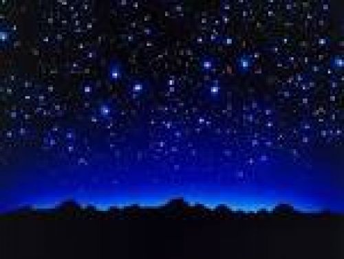 Immagine per il contenuto "La notte delle stelle nella foresta Carpaneta (MN)"