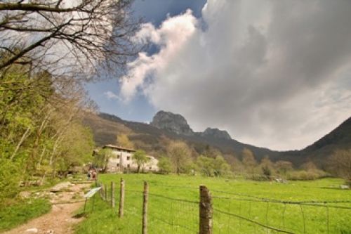 Immagine per il contenuto "Alla scoperta della Val Ravella - Foresta Corni di Canzo (CO)"