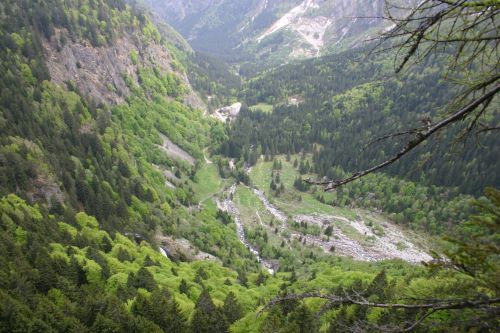 Immagine per il contenuto "Ferragosto alpino ai Bagni Masino - Foresta Val Masino (SO) "