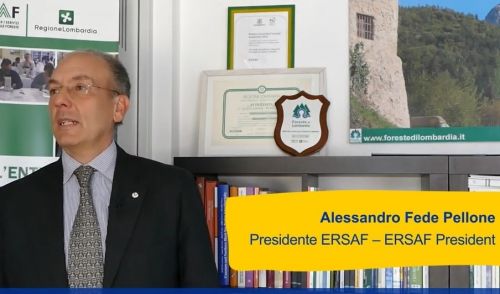Immagine per il contenuto "Fondi europei di coesione sociale in Lombardia: la parola al presidente di ERSAF"